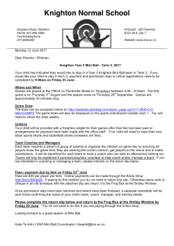 Mini Ball Y 2 Notice #1 T3