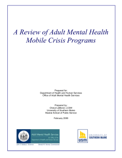 Crisis Review Executive Summary