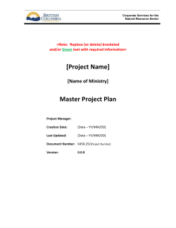 NRS Master Project Plan Template