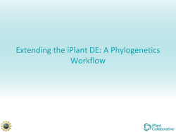 Phylogenetic Workflows Part II Post-tree Analyses