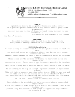 printable flyer - Spirit Horse Liberty