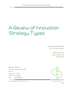 A Review of Innovation Strategy Types