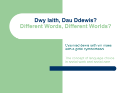 Dwy Iaith, Dau Ddewis? Different Words, Different