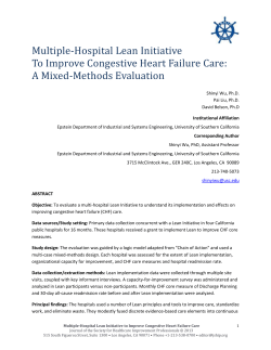 102713-Multiple-Hospital-Lean-Initiative