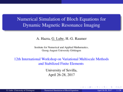 Numerical Simulation of Bloch Equations for Dynamic