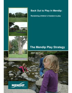 The Mendip Play Strategy - Mendip District Council