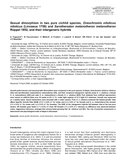Toguyeni_Sexual dimorphism in two pure cichlid