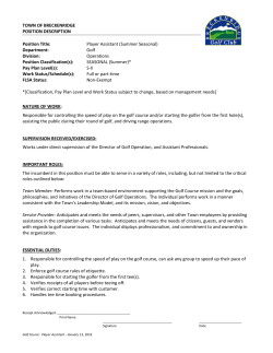 TOWN OF BRECKENRIDGE POSITION DESCRIPTION Position