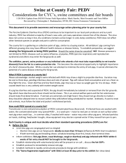 Swine at County Fair: PEDV - Iowa Pork Industry Center