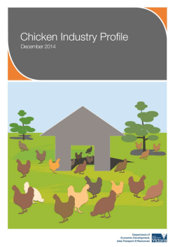 Structure of Victoria`s chicken meat industry