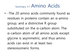 Summary 3.1 Amino Acids