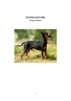 Standard FCI N&deg;/ date de publication /F