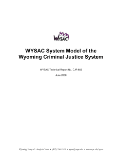 Final Report (Word) - wysac