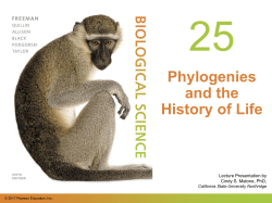 The Fossil Record