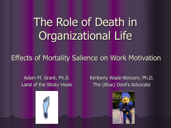 The Role of Death in Organizational Life