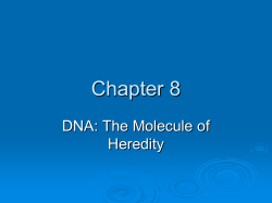 Chapter 8