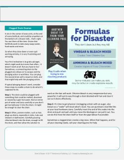 File - marketing zoo