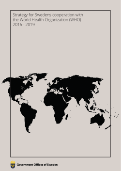 Strategy for Swedens cooperation with the World