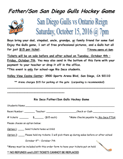 Father/Son San Diego Gulls Hockey Game