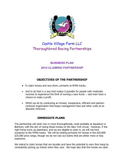 BUSINESS PLAN &ndash;CASTLE VILLAGE FARM