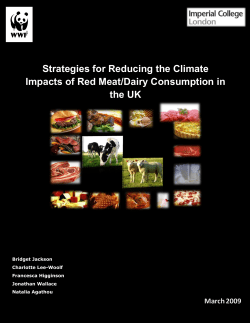 Strategies for Reducing the Climate Impacts of Red Meat/Dairy