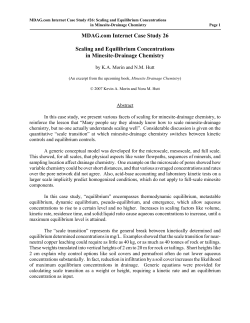 MDAG.com Internet Case Study 26 Scaling and Equilibrium