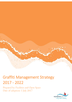 Graffiti Management Strategy 2017 - 2022