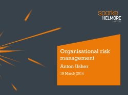 risk management framework