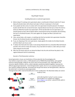 Shay/Wright retroviral protocol 2006