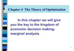 The Theory of Optimization