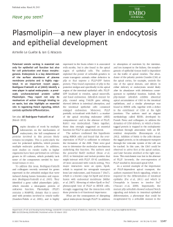 Plasmolipina new player in endocytosis and epithelial development
