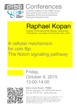 A cellular mechanism for coin flip: The Notch signaling pathway