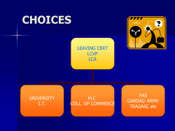 CAO presentation