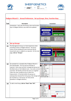 Task A Pedigree Wizard 3 - Annual Preferences. Set up Groups