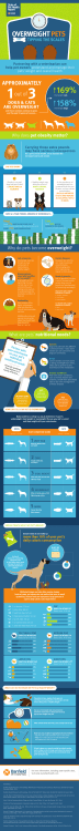 APPROXIMATELY out of - Banfield Pet Hospital