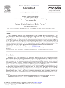Fast and Reliable Detection of Hockey Players