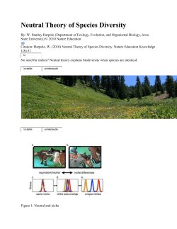 Neutral Theory of Species Diversity