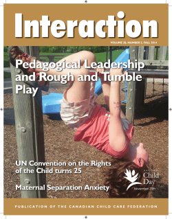 Pedagogical Leadership and Rough and Tumble Play