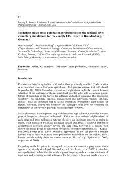 Modelling maize cross-pollination probabilities on the regional level