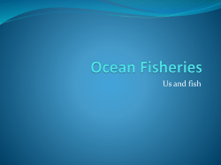 Ocean Fisheries