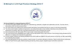 template for statement of pupil premium strategy * primary schools