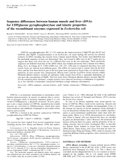 Sequence differences between human muscle and liver cDNAs for