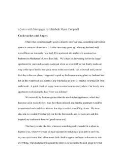 Cockroaches and Angels - A Good Life Takes Some Thought