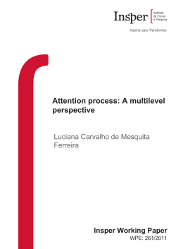 Attention process: A multilevel perspective