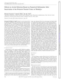 Deficits in Action Selection Based on Numerical Information After
