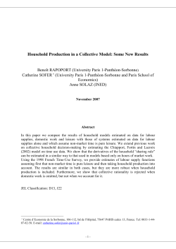 Household Production in a Collective Model
