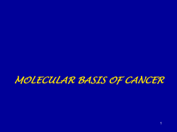 MOLECULAR BASIS OF CANCER Assoc.Prof. Işık G