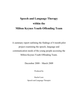 Speech and Language Therapy Pilot 4 month summary