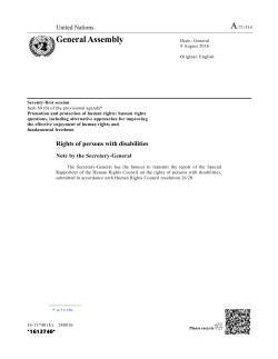 Rights of persons with disabilities: Report of the