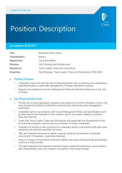 Position Description